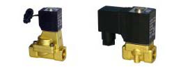 2W Series Valve